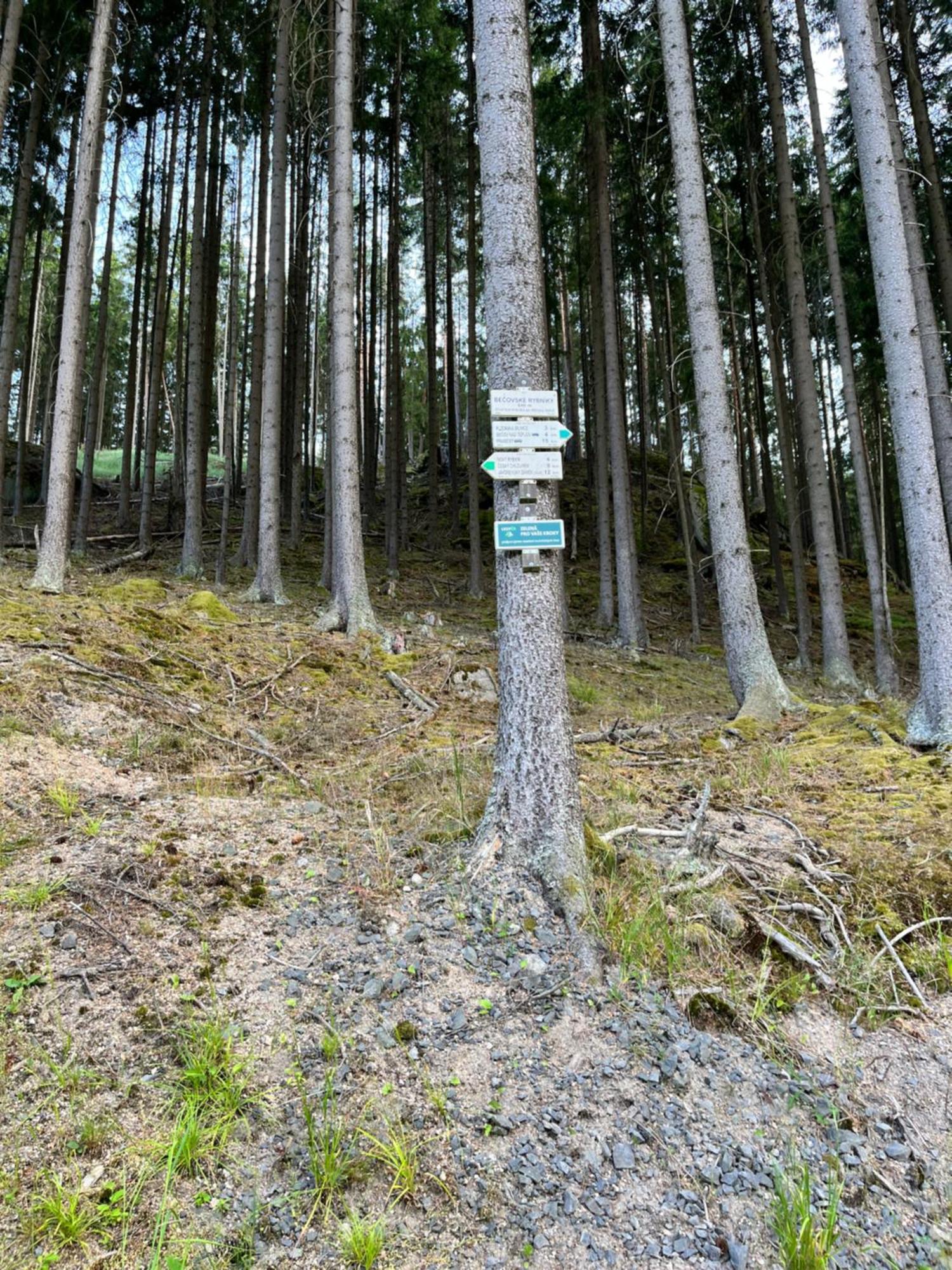 Апарт готель Na Nebi 187 Бечов-над-Теплоу Екстер'єр фото